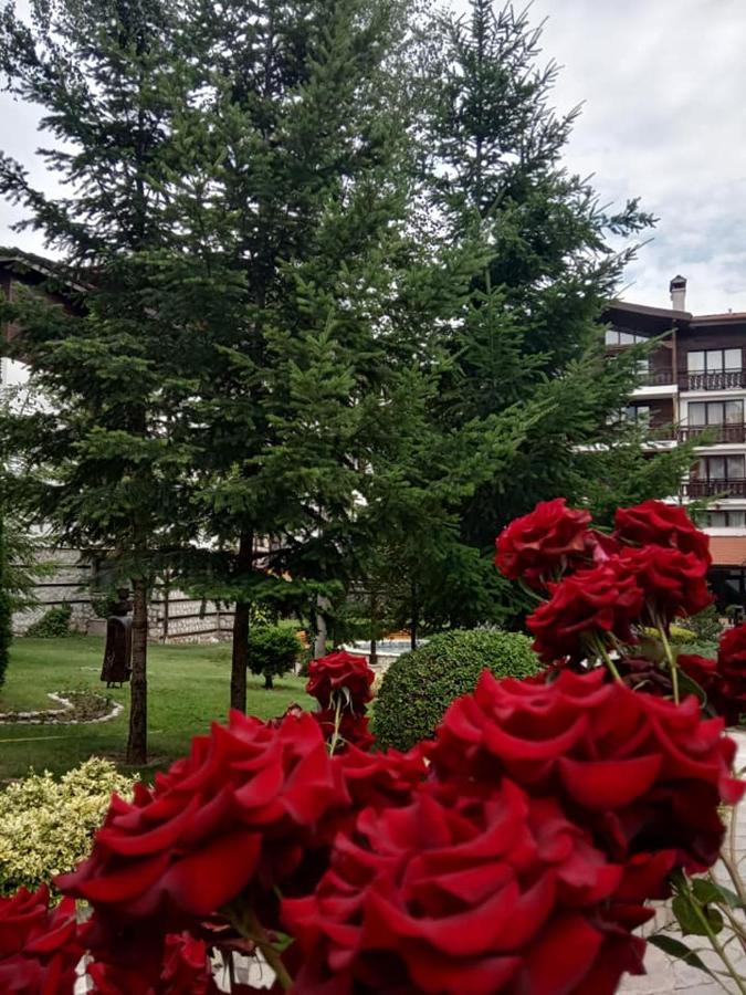 Winslow Infinity 3* Bansko